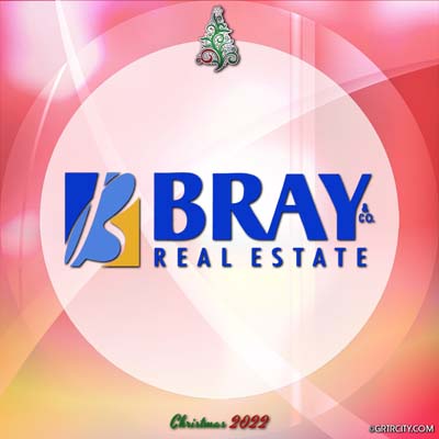 	Bray Real Estate	